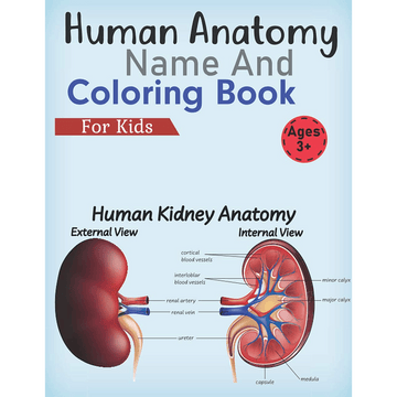 Human Anatomy Coloring Book For Kids: This Human Body Physiology Coloring & Activity Workbook For Girl And Boys With Human Figure Anatomy Drawing - download pdf